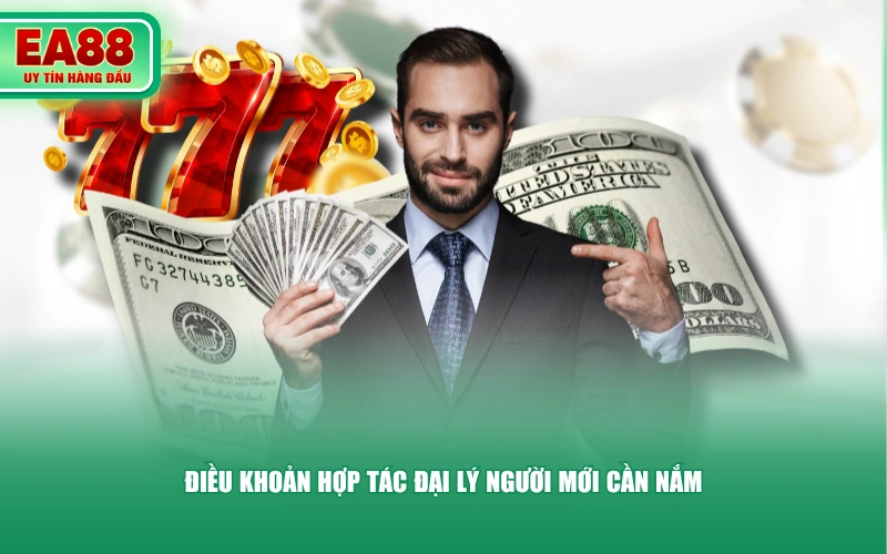 Điều khoản hợp tác đại lý người mới cần nắm