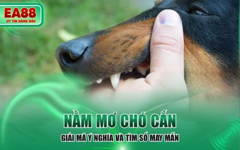 Nằm Mơ Chó Cắn - Giải Mã Ý Nghĩa Và Tìm Số May Mắn