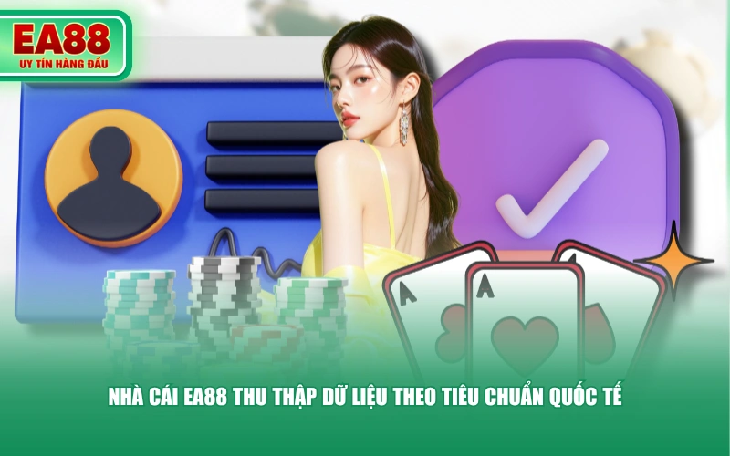 Nhà cái EA88 thu thập dữ liệu theo tiêu chuẩn quốc tế